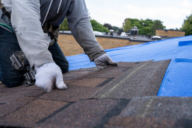 Best Roof Moss and Algae Removal  in Spring Valley Lake, CA